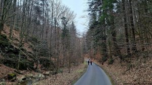 Javorník - Čertovy kazatelny  - Rychleby - Tančírna