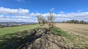 Olšany - Bartoňov - Radomilov - Kostelíček - Šumperk