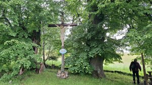 Vysoké Žibřidovice - Cibulka - Sviní hora - Vojtíškov - Podlesí