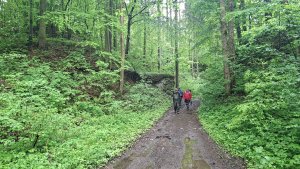 Lesní zážitková NS - Komňátka - štola Mařka – Bohdíkov - Komňátka