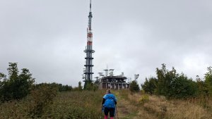 Javořina - Velká Javořina - Holubyho chata - Květná
