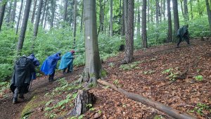 Lesní zážitková NS - Komňátka - štola Mařka – Bohdíkov - Komňátka