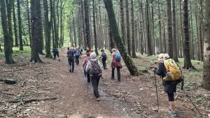 Vápenice - Mikulčin vrch - Malý Lopeník - Veľký Lopeník - Lopeník