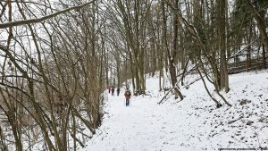Kokeš - hromadný hrob - Šumperk