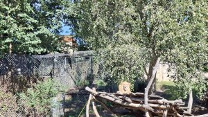 ZOO Lešná