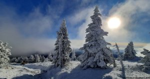 Ovčárna - Temná - Kapličkový vrch - Malá Morávka