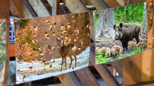1. máj na rozhledně - vernisáž fotek Jitky Látalové