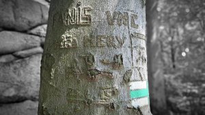 NS Česká Ves - Vodní mlýnky - Bělák - Čertovy kameny - Plotny - Švédská hlídka – Jeseník