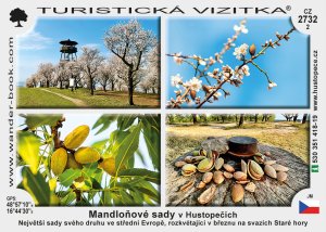 Hustopeče - Mandloňové sady - Kurdějov
