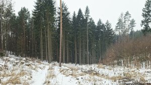 Kokeš - hromadný hrob - Šumperk
