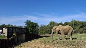 ZOO Lešná
