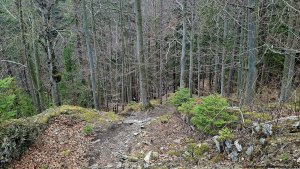 Javorník - Čertovy kazatelny  - Rychleby - Tančírna
