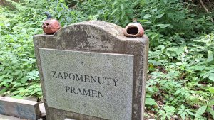 NS Česká Ves - Vodní mlýnky - Bělák - Čertovy kameny - Plotny - Švédská hlídka – Jeseník