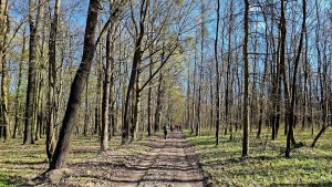 Moravičany - CHKO Litovelské Pomoraví - Střelice