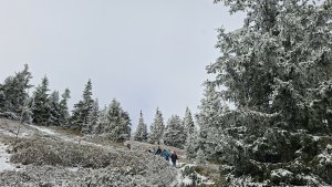Ovčárna - Temná - Kapličkový vrch - Malá Morávka