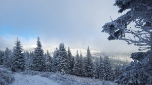 Ovčárna - Temná - Kapličkový vrch - Malá Morávka