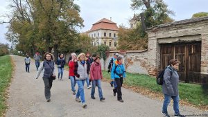Rajhrad - Židlochovice - rozhledna Akátová věž - Blučina