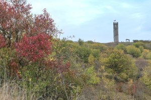 Ze zájezdu - Rajhrad.