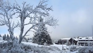 Ovčárna - Temná - Kapličkový vrch - Malá Morávka