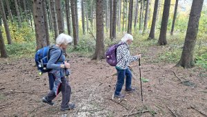 Horní Lipová - NS Johanna Schrotta - Lipová Lázně