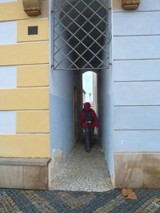 Z vycházky Střeň - Litovel. Vedl Standa Vantuch, foto Slávka Krejčí