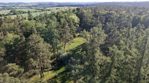 Krnov - Cvilín - zřícenina hradu Šelenburk - rozhledna Hanse Kudlicha - Úvalno