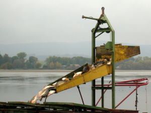 Prodáno.