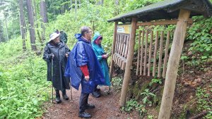 Lesní zážitková NS - Komňátka - štola Mařka – Bohdíkov - Komňátka