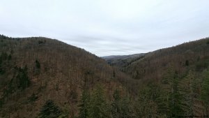 Javorník - Čertovy kazatelny  - Rychleby - Tančírna