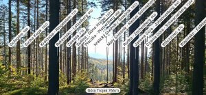 Góry Złoty - Szwedzkie Szańce – Trojak - Lądek-Zdrój