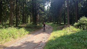 Šumperk - Buková hora - Suchý vrch - Červená Voda - Kocanda -  Šumperk