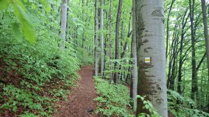 Lesní zážitková NS - Komňátka - štola Mařka – Bohdíkov - Komňátka