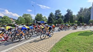 Šumperk - Buková hora - Suchý vrch - Červená Voda - Kocanda -  Šumperk