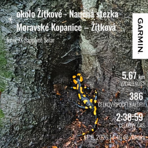 okolo Žítkové - Naučná stezka Moravské Kopanice – Žítková