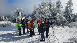 Ovčárna - Temná - Kapličkový vrch - Malá Morávka