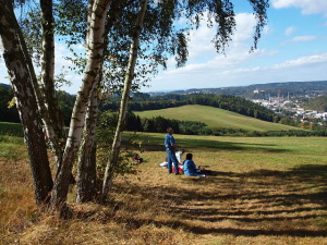 Piknik v trávě.