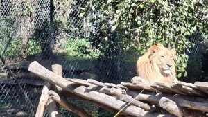 ZOO Lešná