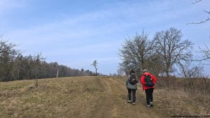 Zábřeh – Nemile - Nemilské hory - Zábřeh