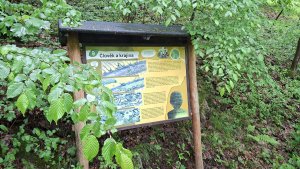 Lesní zážitková NS - Komňátka - štola Mařka – Bohdíkov - Komňátka