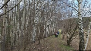 Velká Kraš - Annín - Kobylá - Venušiny misky - Smolný vrch - Boží hora - Žulová