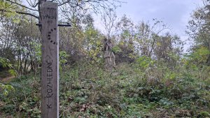 Rajhrad - Židlochovice - rozhledna Akátová věž - Blučina