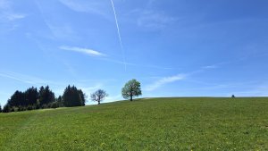 Červená Voda - Křížová hora - Moravský Karlov - Zašívárna - Písařov