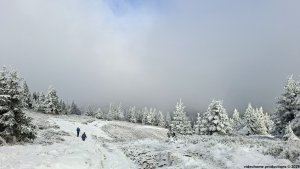 Ovčárna - Temná - Kapličkový vrch - Malá Morávka