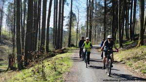 Šumperk - Velké Losiny - Přemyslov - Pekařov - Šumperk