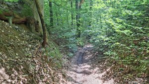 Úsov - Litovelské Pomoraví - Doubrava - Moravičany