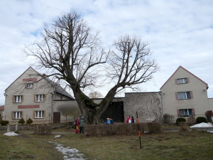 Hezké srdíčko.