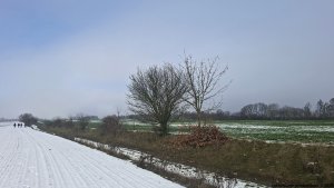 Mírov - Mohelnice
