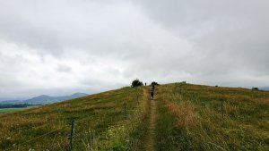 Kobylá nad Vidnavkou - Mojmírův rybník - Lánský vrch - Žulová