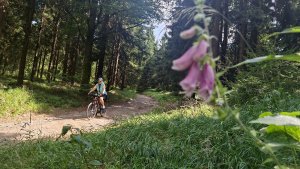 Šumperk - Buková hora - Suchý vrch - Červená Voda - Kocanda -  Šumperk