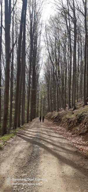 Červenohorské sedlo - Sedlo pod Vřesovkou - Kouty nad Desnou